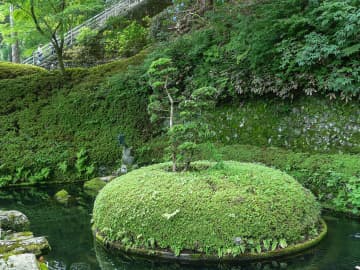 第21番 舎心山 常住院 太龍寺 庭