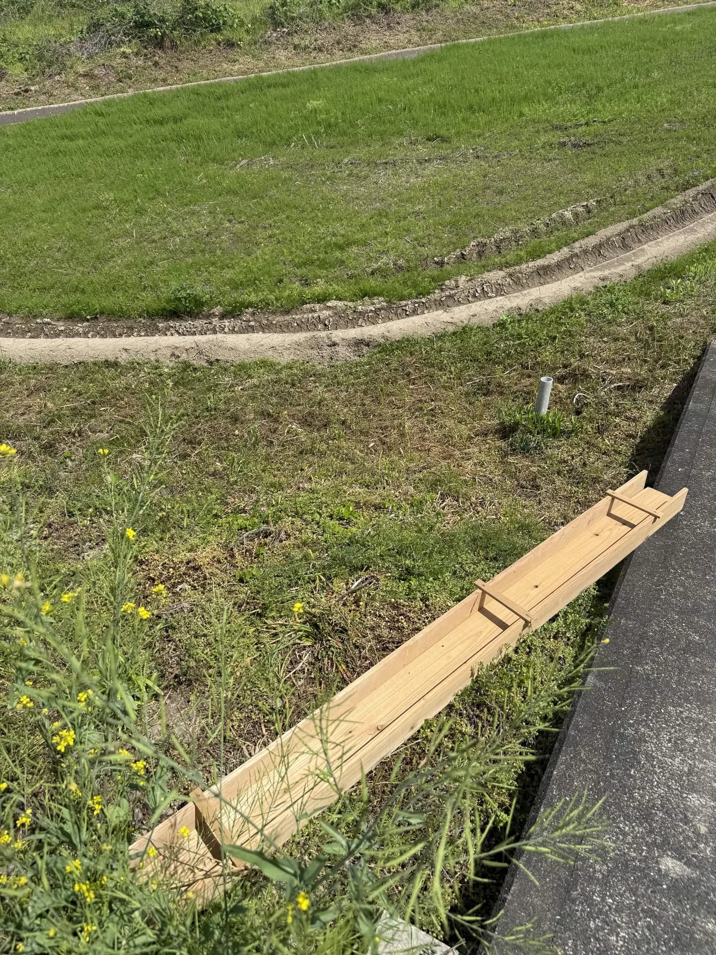 整備中の田んぼ