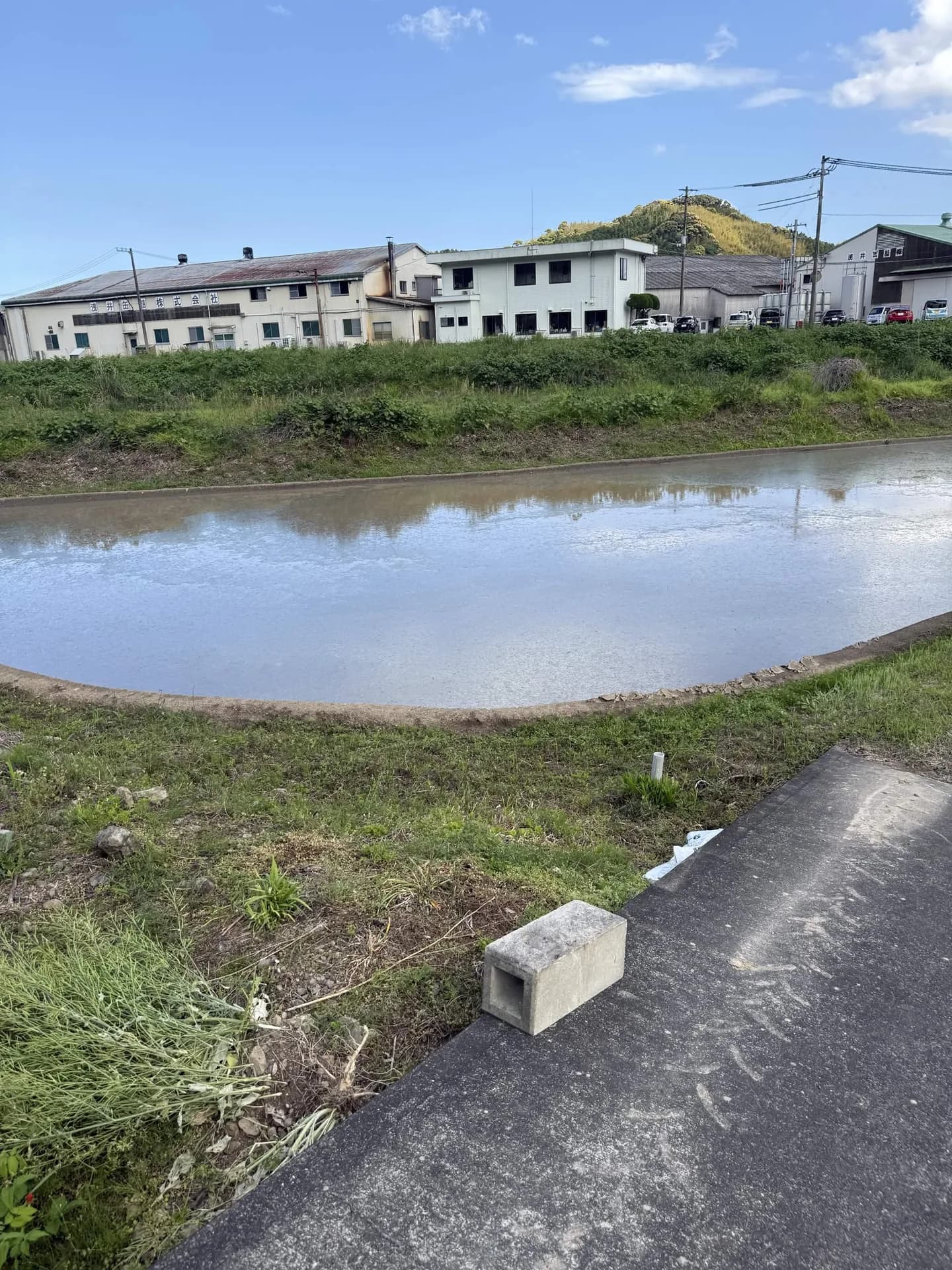 水が入った田んぼ