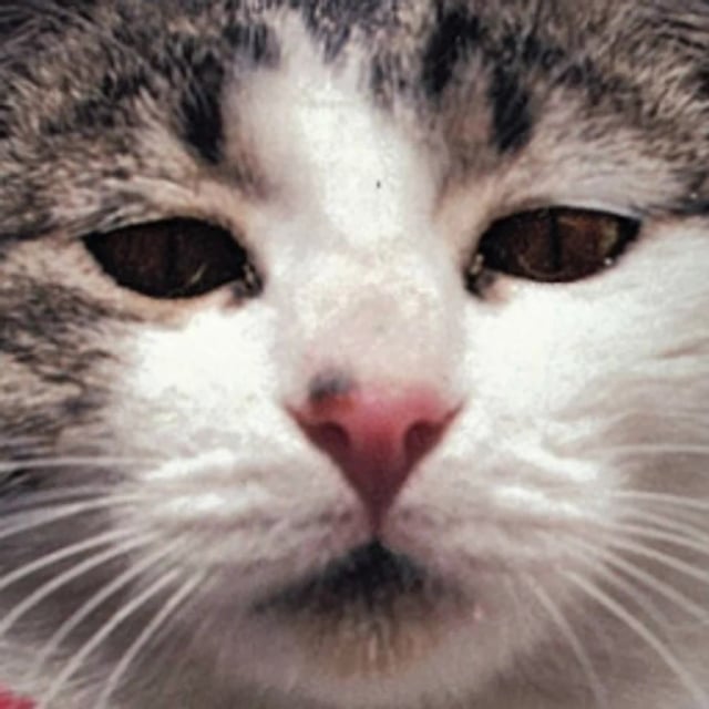 プロフィール写真