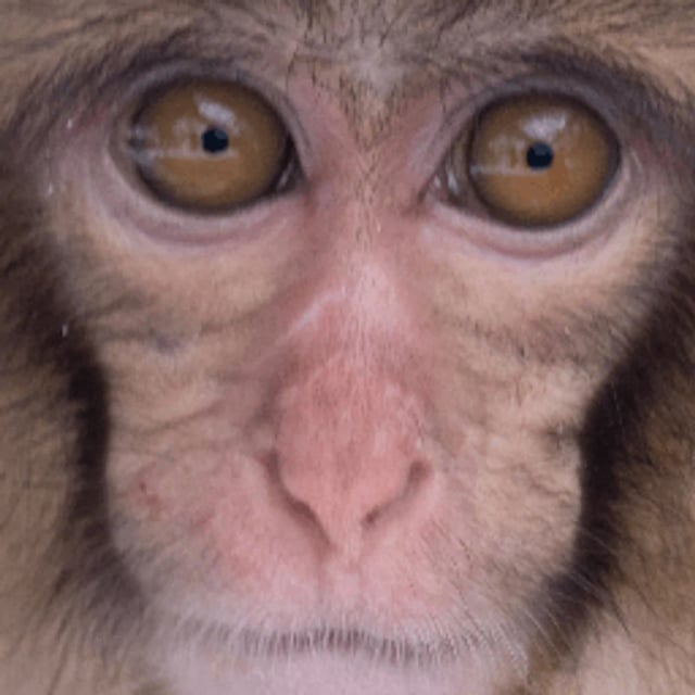 プロフィール写真