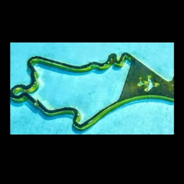 プロフィール写真