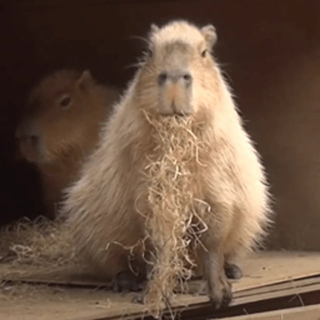 プロフィール写真