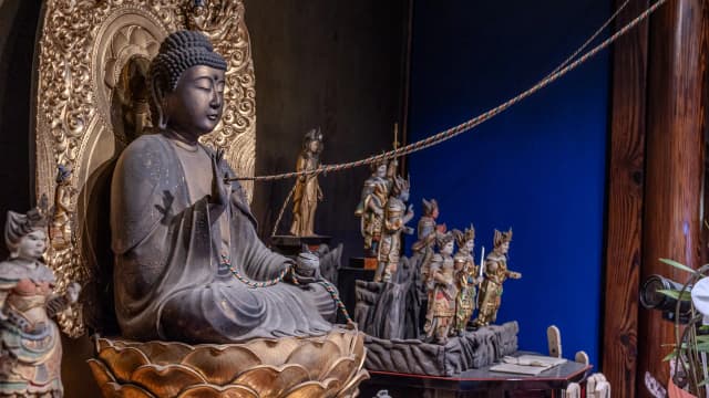 The five-colored rope