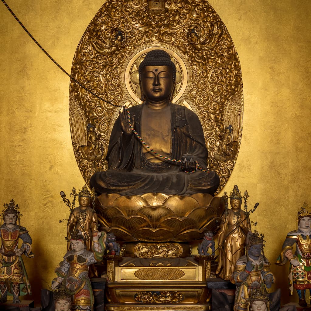 Yakushi Nyorai, principal image of Byodoji Temple