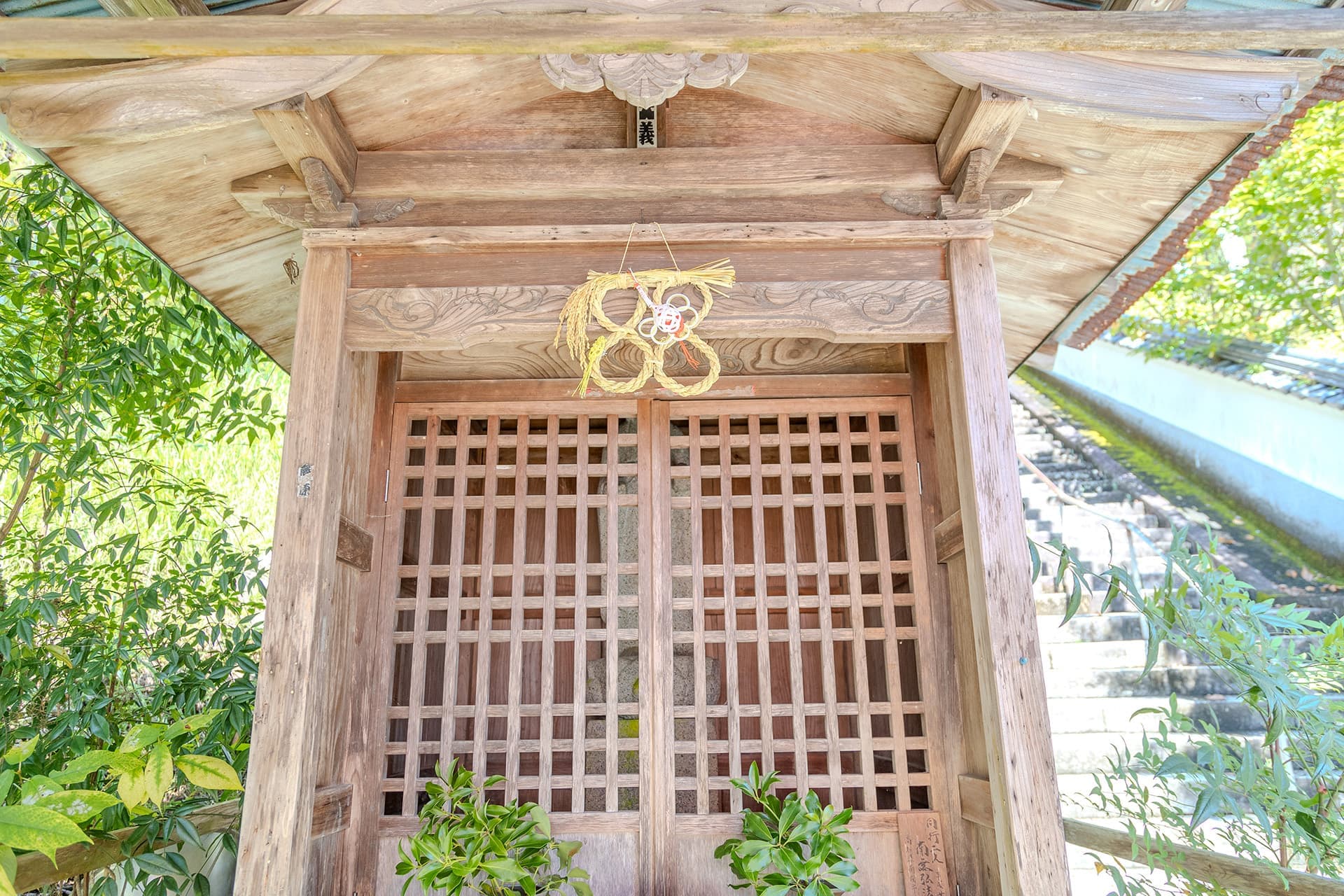 白水の井戸