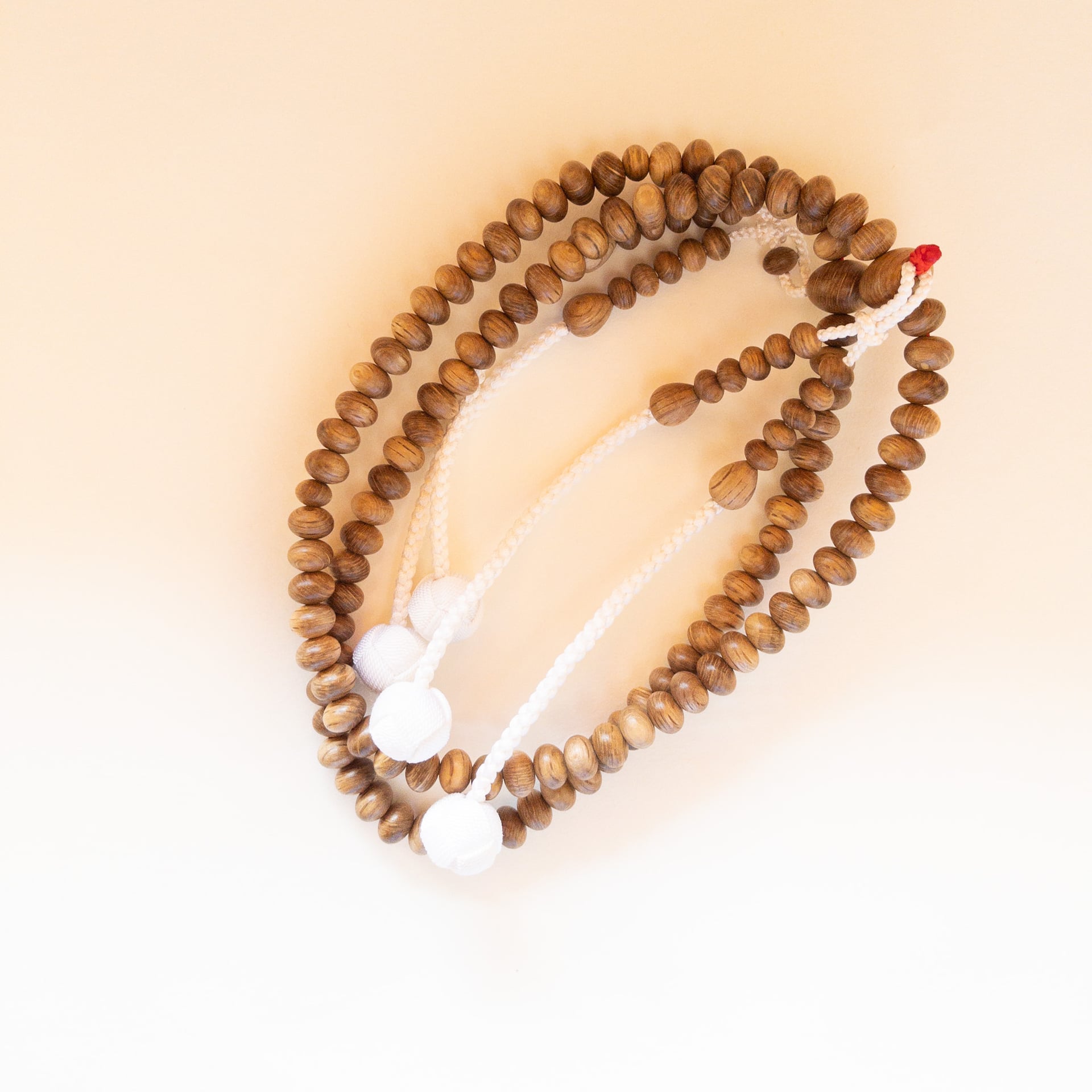 白樫念珠