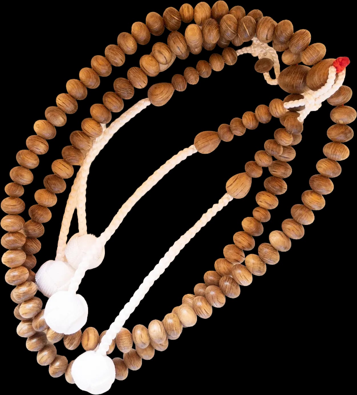 白樫念珠