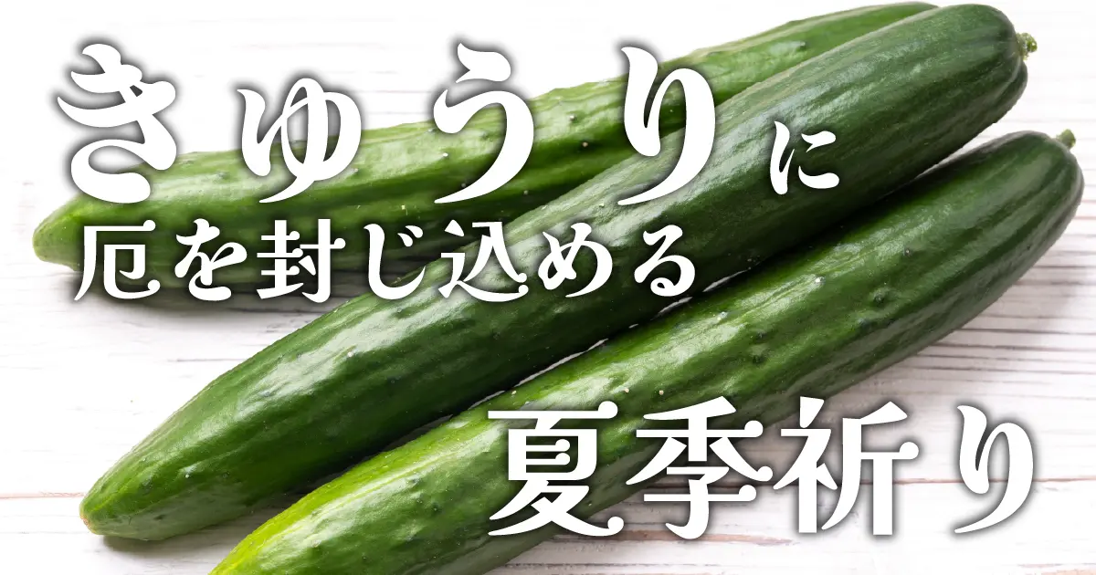 きゅうり加持