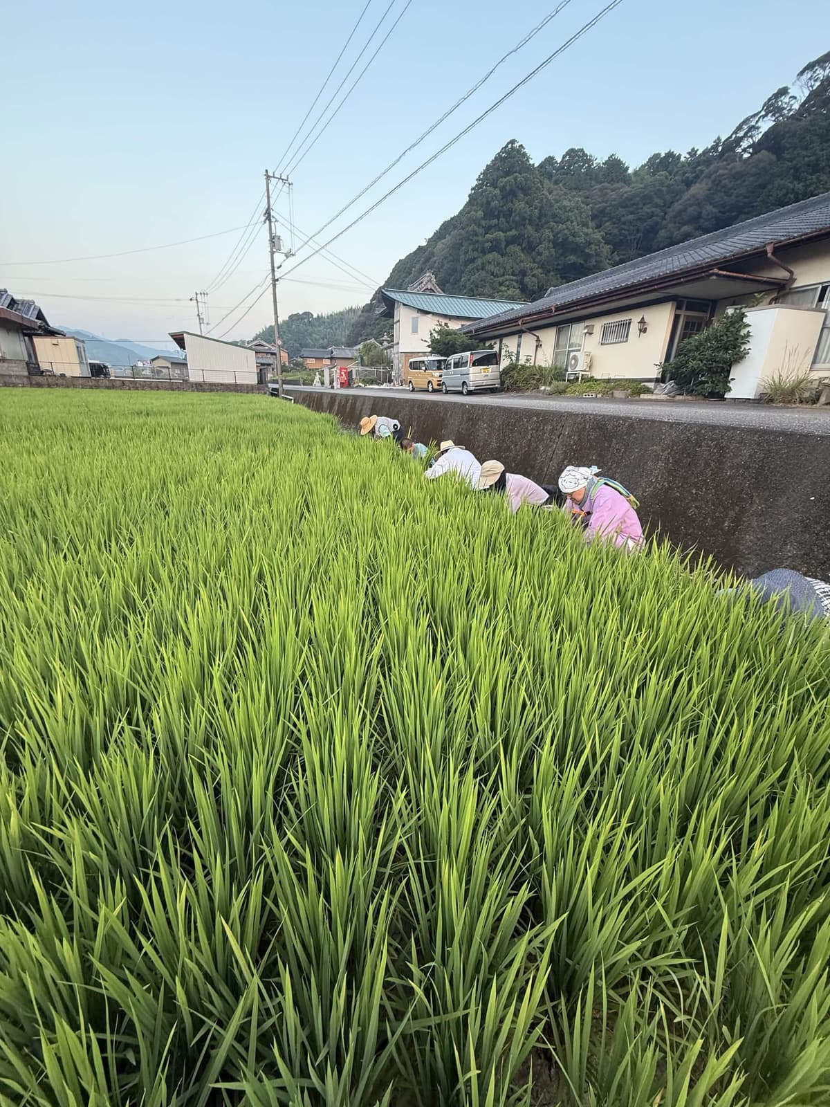 7月25日