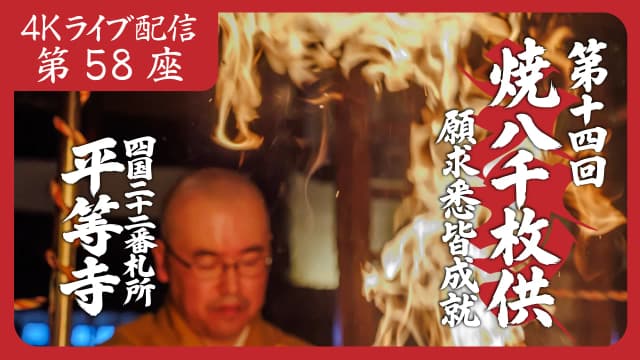 8k Homa Session #58