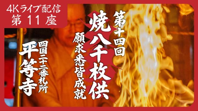 8k Homa Session #11
