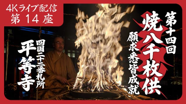 8k Homa Session #14