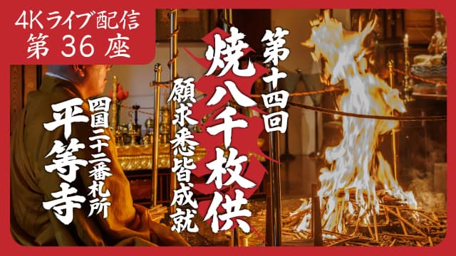8k Homa Session #36