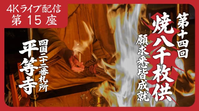 8k Homa Session #15