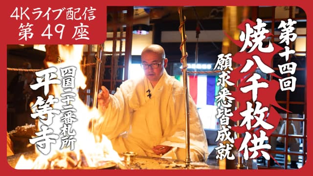 8k Homa Session #49