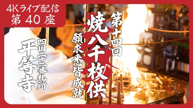 8k Homa Session #40
