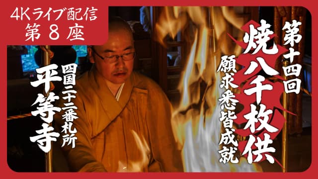 8k Homa Session #8
