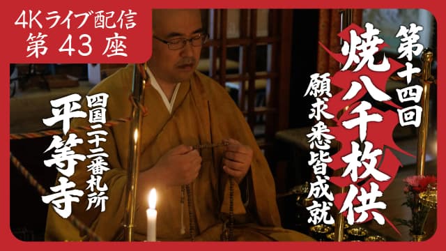8k Homa Session #43