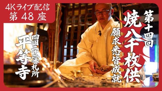 8k Homa Session #48