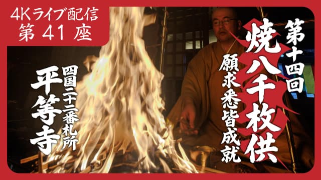 8k Homa Session #41