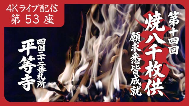 8k Homa Session #53