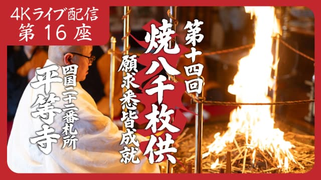 8k Homa Session #16
