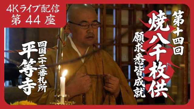 8k Homa Session #44