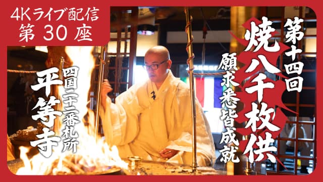 8k Homa Session #30