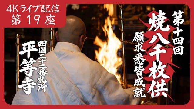 8k Homa Session #19