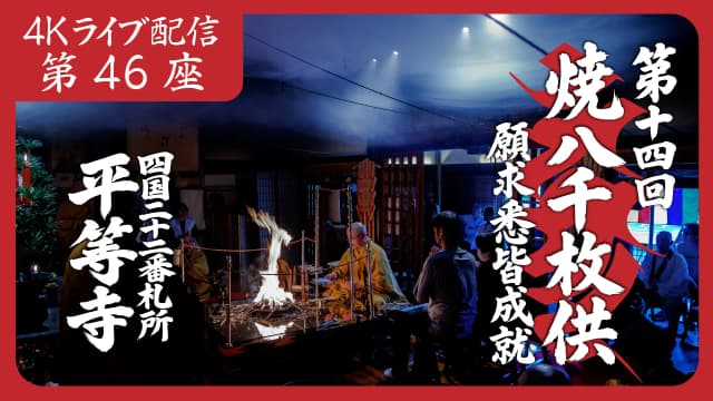 8k Homa Session #46