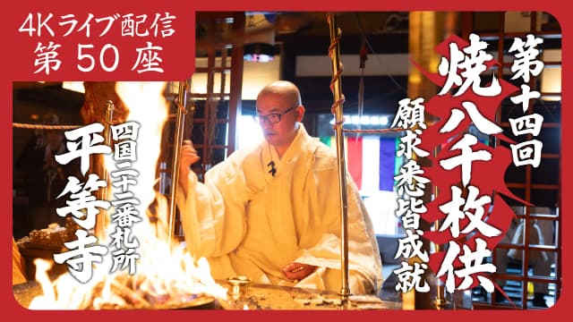 8k Homa Session #50