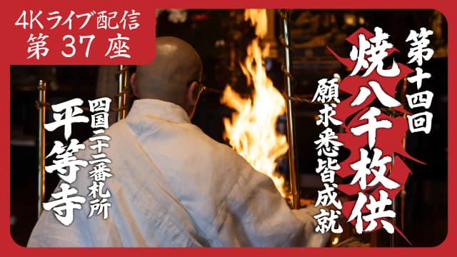8k Homa Session #37