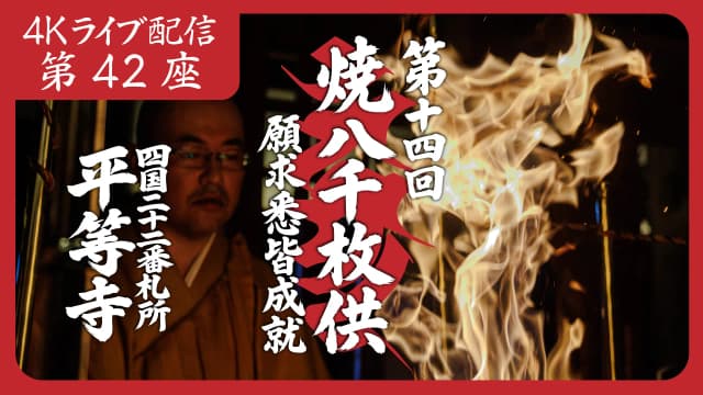 8k Homa Session #42