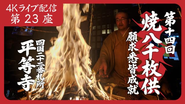 8k Homa Session #23