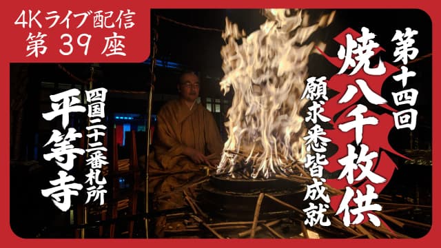 8k Homa Session #39