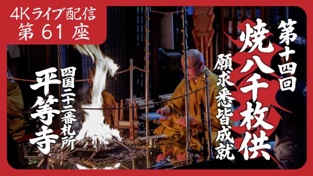 8k Homa Session #61