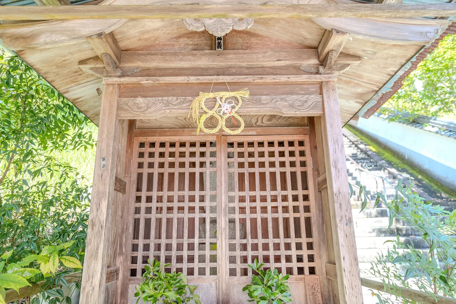 白水の井戸
