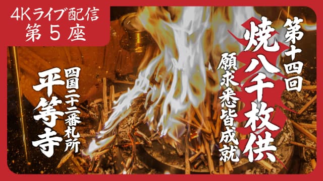 8k Homa Session #5