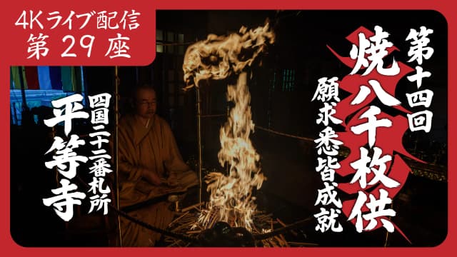 8k Homa Session #29