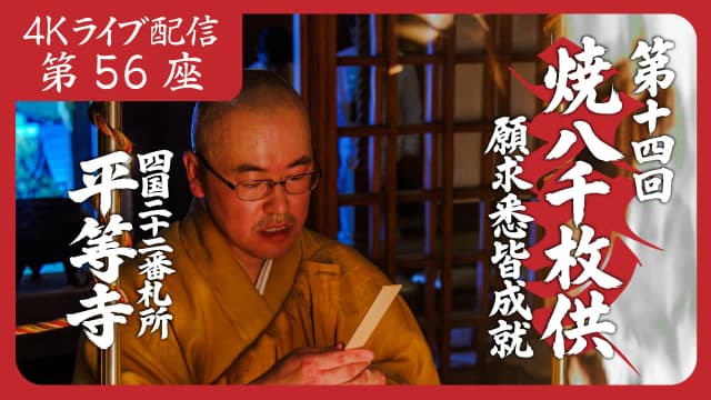 8k Homa Session #56