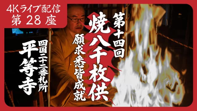 8k Homa Session #28