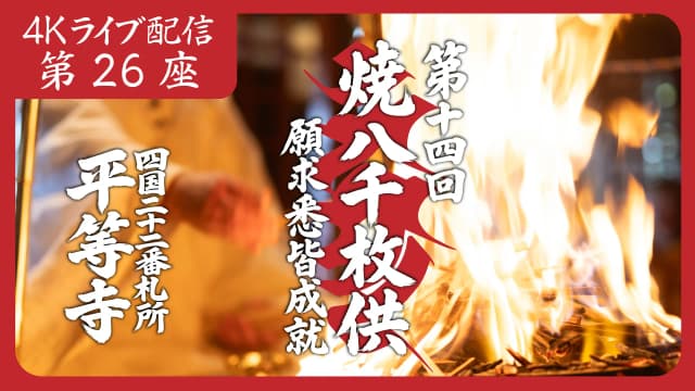 8k Homa Session #26