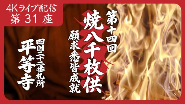 8k Homa Session #31