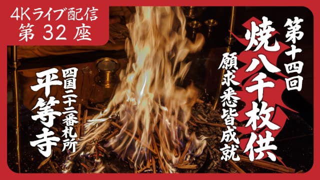 8k Homa Session #32