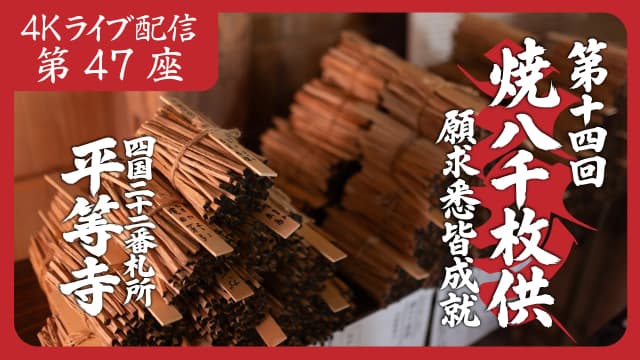 8k Homa Session #47