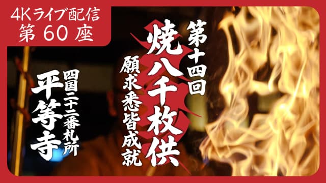 8k Homa Session #60