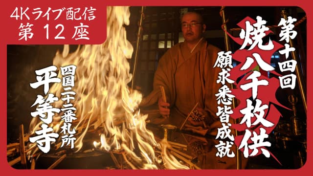 8k Homa Session #12